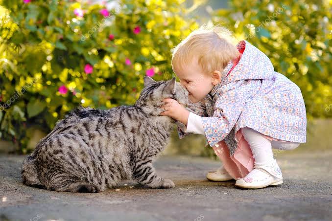 Kediler Bebeklerin Yanında Güvende midir? Kedi ve Bebek Bağı Görseli